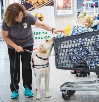 El Corte Inglés ayuda a la ONCE a dar a conocer la labor de los perros guía