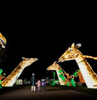 El Corte Inglés patrocina Brilla Madrid Zoo que enciende sus luces por primera vez en España