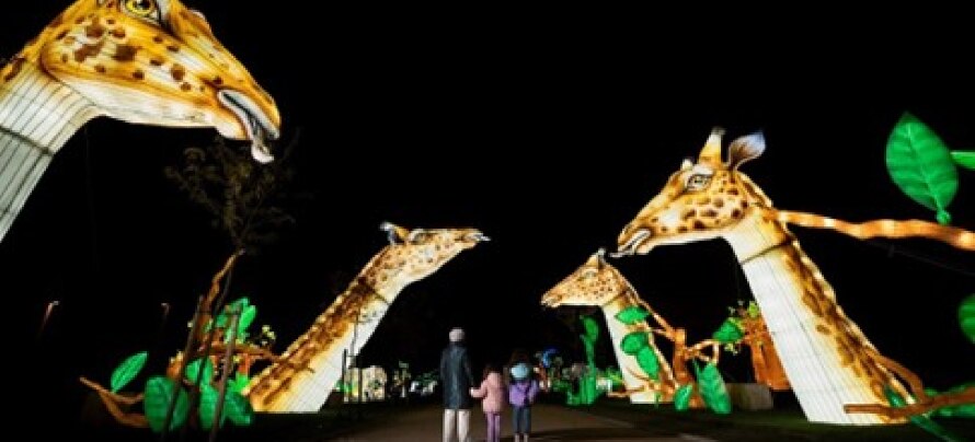 El Corte Inglés patrocina Brilla Madrid Zoo que enciende sus luces por primera vez en España