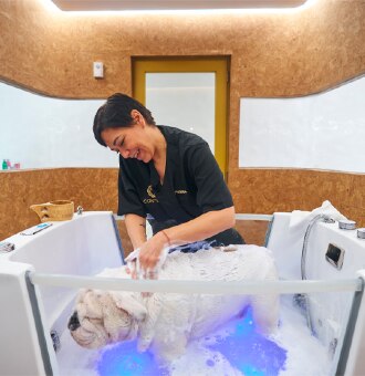 El Corte Inglés inaugura “Contigo Cuidados", un centro de bienestar y estética para mascotas