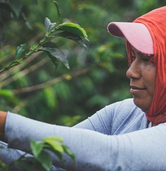 Utópica e IE lanzan un gran proyecto para impulsar el entorno social y ambiental de comunidades locales