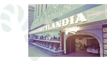 1981, Belén y pinos en Cortylandia