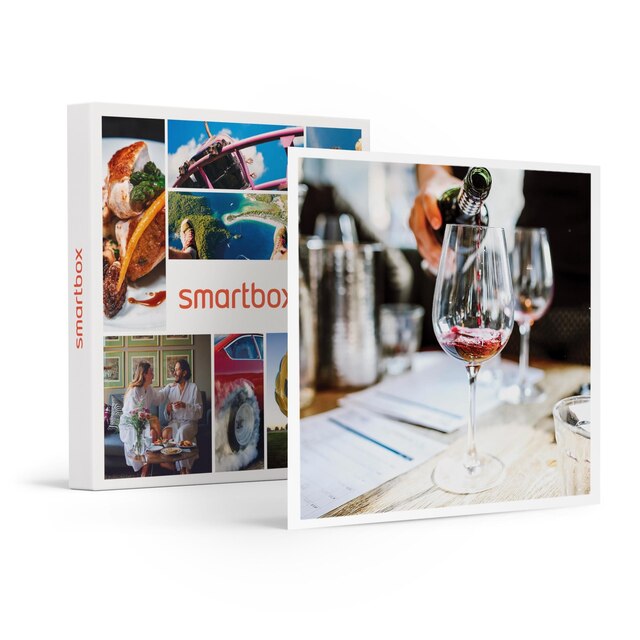 Smartbox Arte y vino: 1 visita a la Bodega Enate y cata de vinos para 2