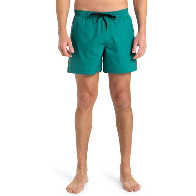 Bañador de hombre Everyday Solid 15