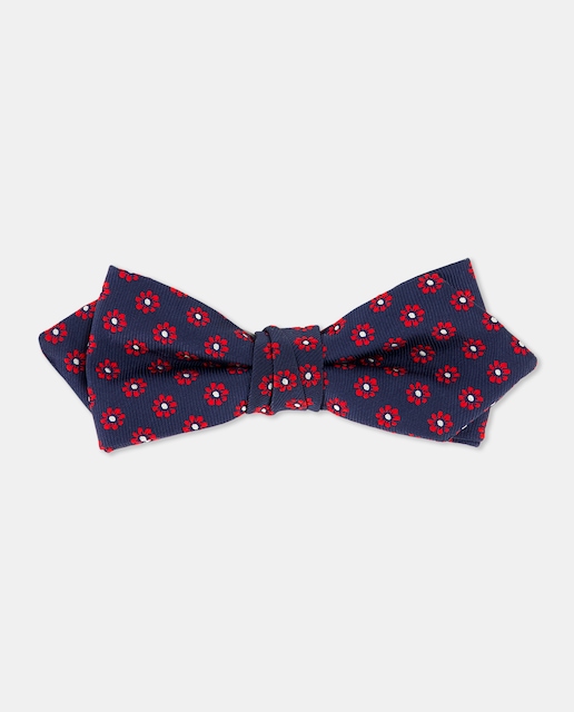 Imagen 0 de Pajarita de niño