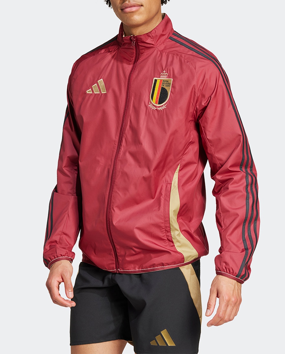 Imagen 0 de Chaqueta de hombre Bélgica 2024 Anthem adidas