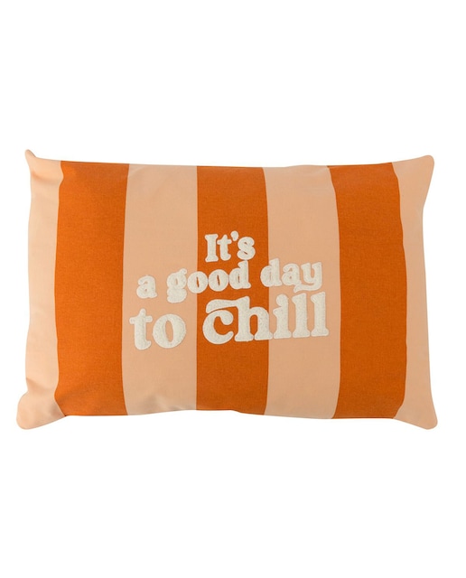 Imagen 0 de Cojín molón Mr Wonderful: It's a good day to chill
