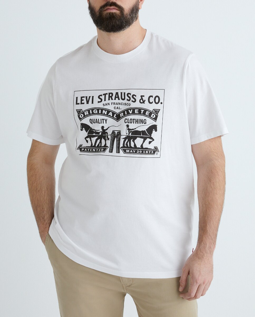Imagen 0 de Camiseta de hombre de manga corta, tallas grandes