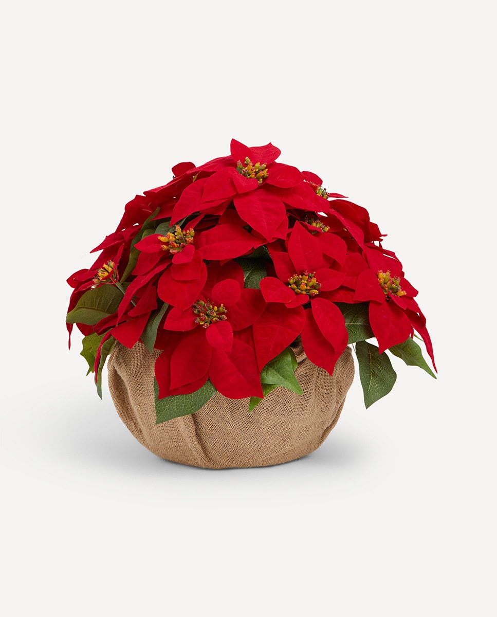 Imagen 0 de Planta artificial Flor de Pascua ratán Navidad El Corte Inglés