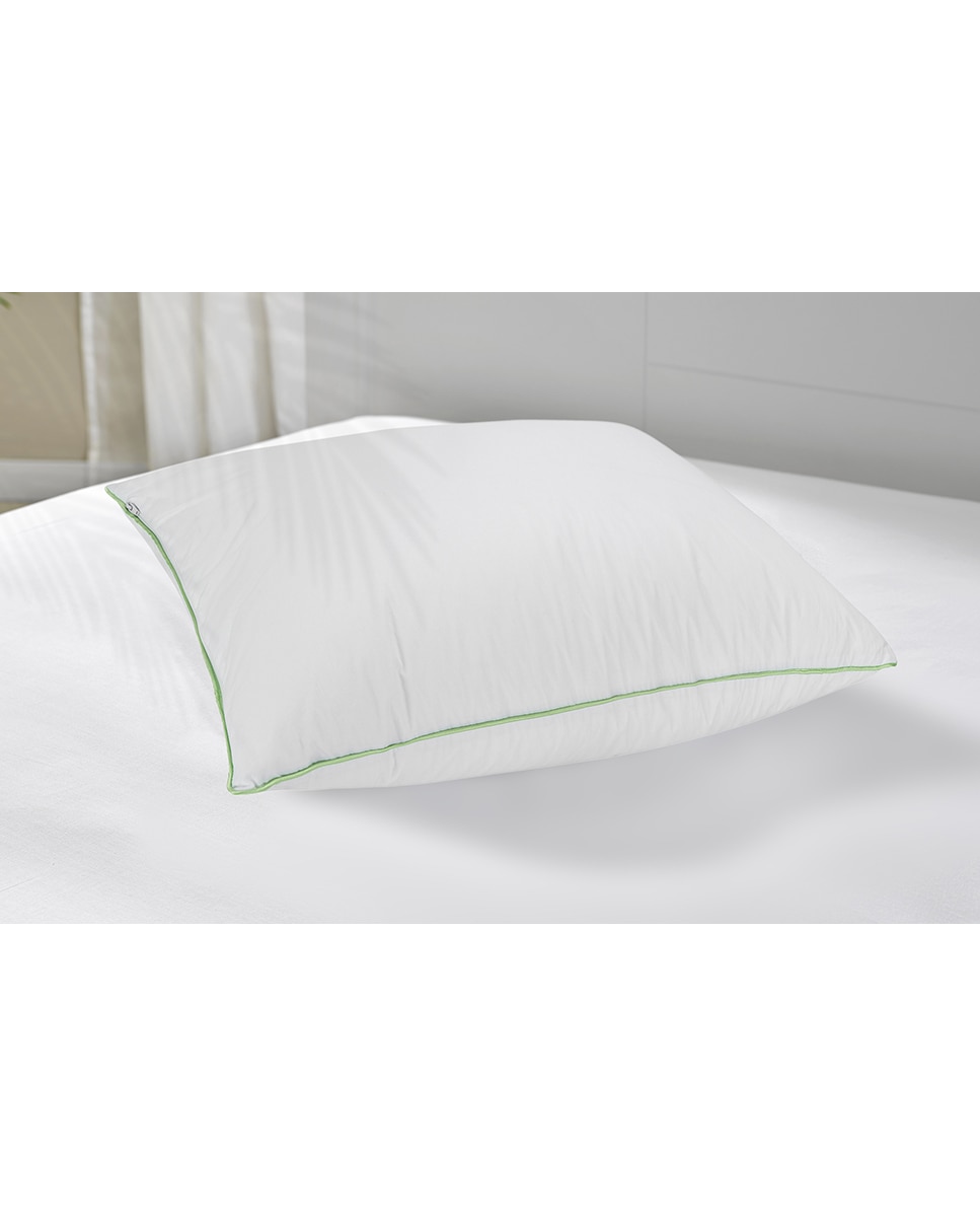 Imagen 0 de Almohada plumón