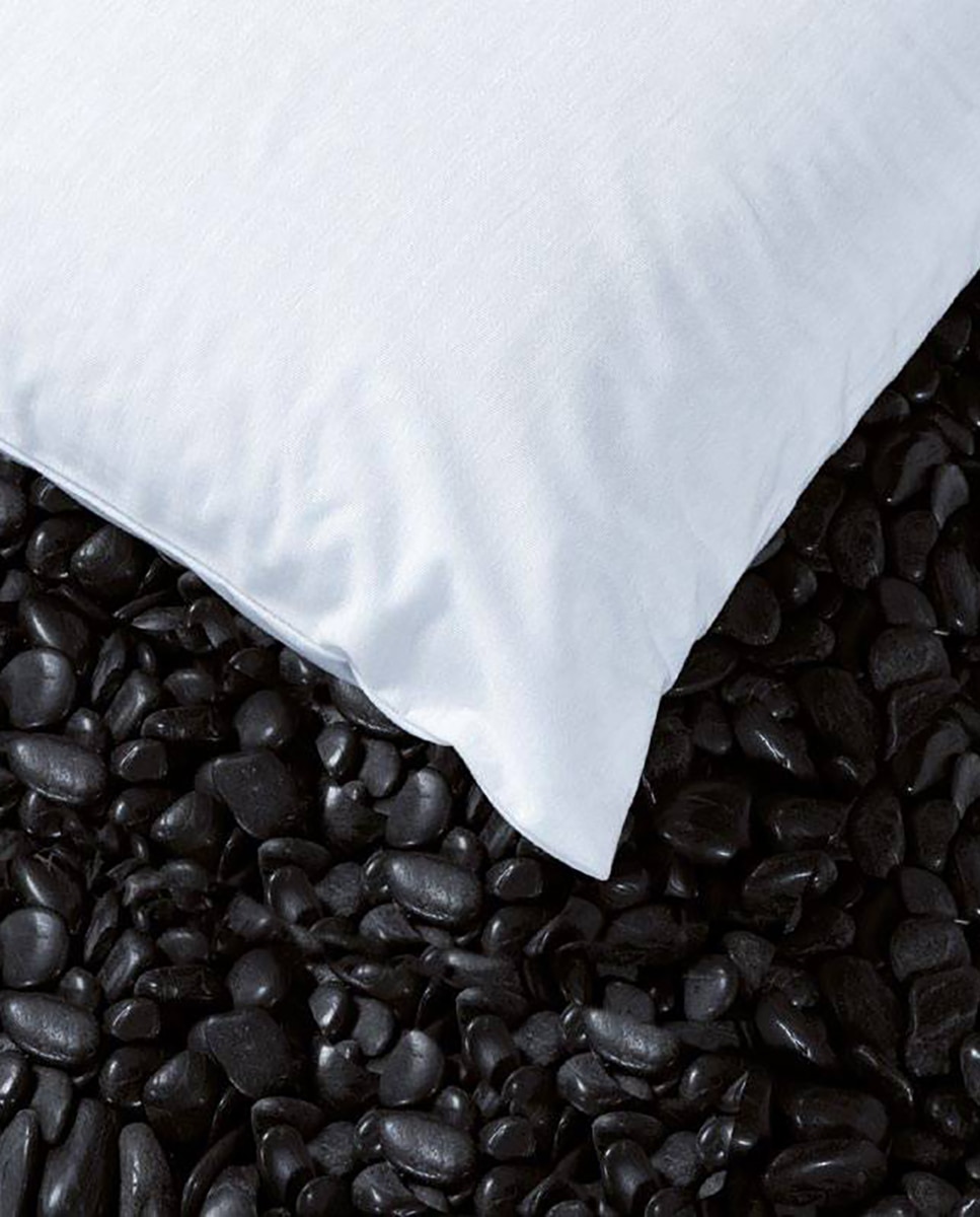 Imagen 0 de Funda almohada protección 100% algodón