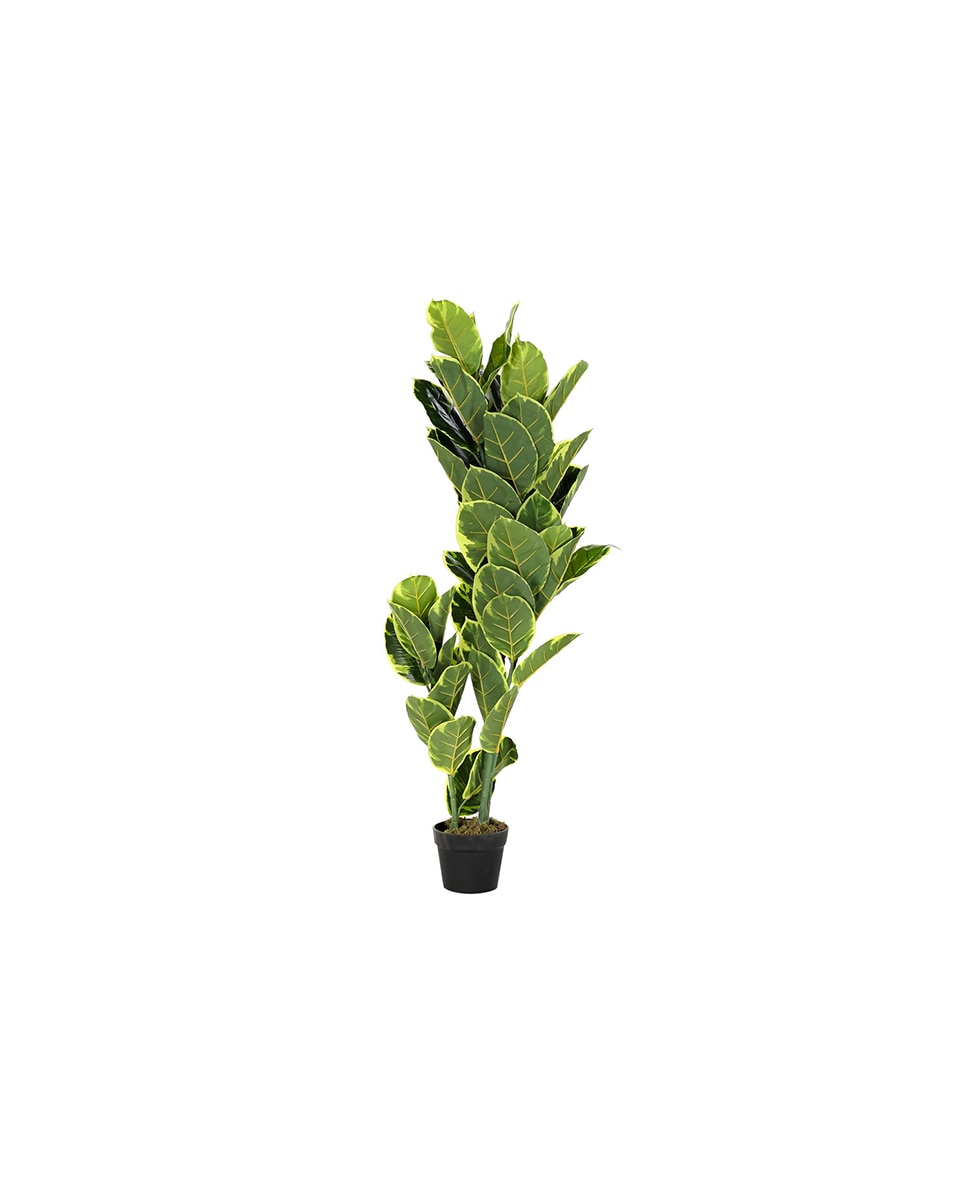 Imagen 0 de Planta polietileno Hevea