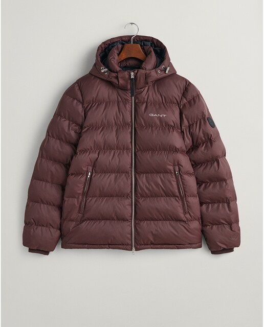 Imagen 0 de Chaqueta Active Cloud