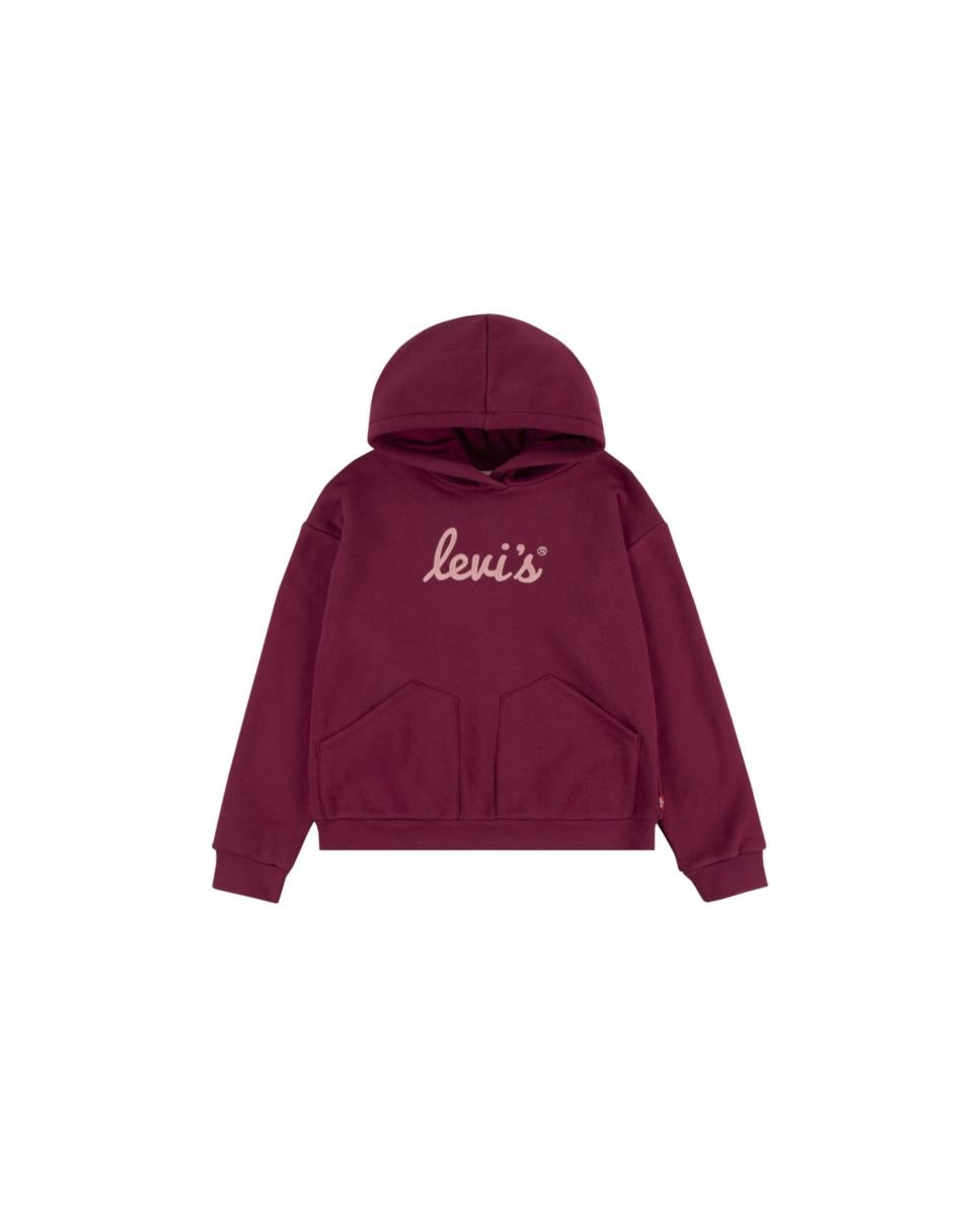 Imagen 0 de Sudadera con capucha