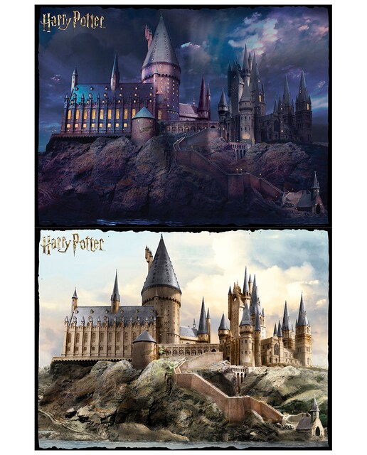 Imagen 0 de Puzzle Harry Potter Rasca Hogwarts 500 Piezas