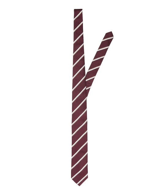 Imagen 0 de Corbata de hombre sostenible