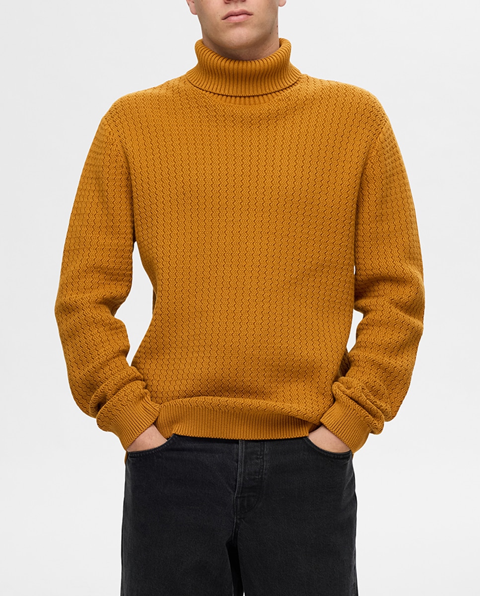 Imagen 0 de Jersey de hombre cuello alto 100% algodón orgánico
