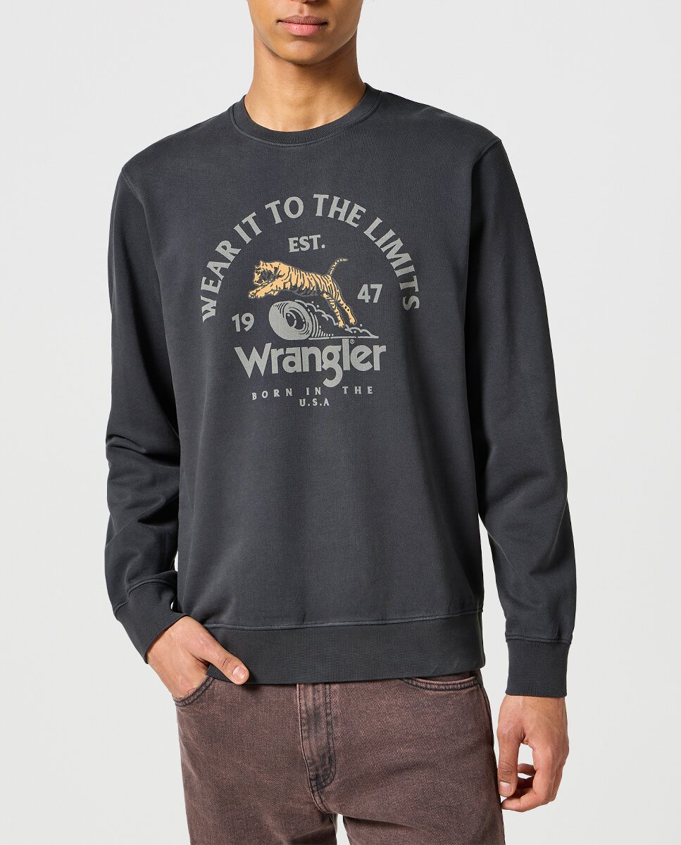 Imagen 0 de Sudadera de hombre