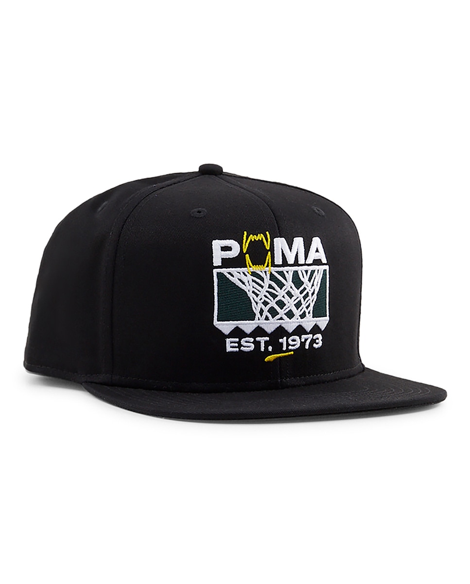 Imagen 0 de Gorra Basketball Pro FB Ca Puma