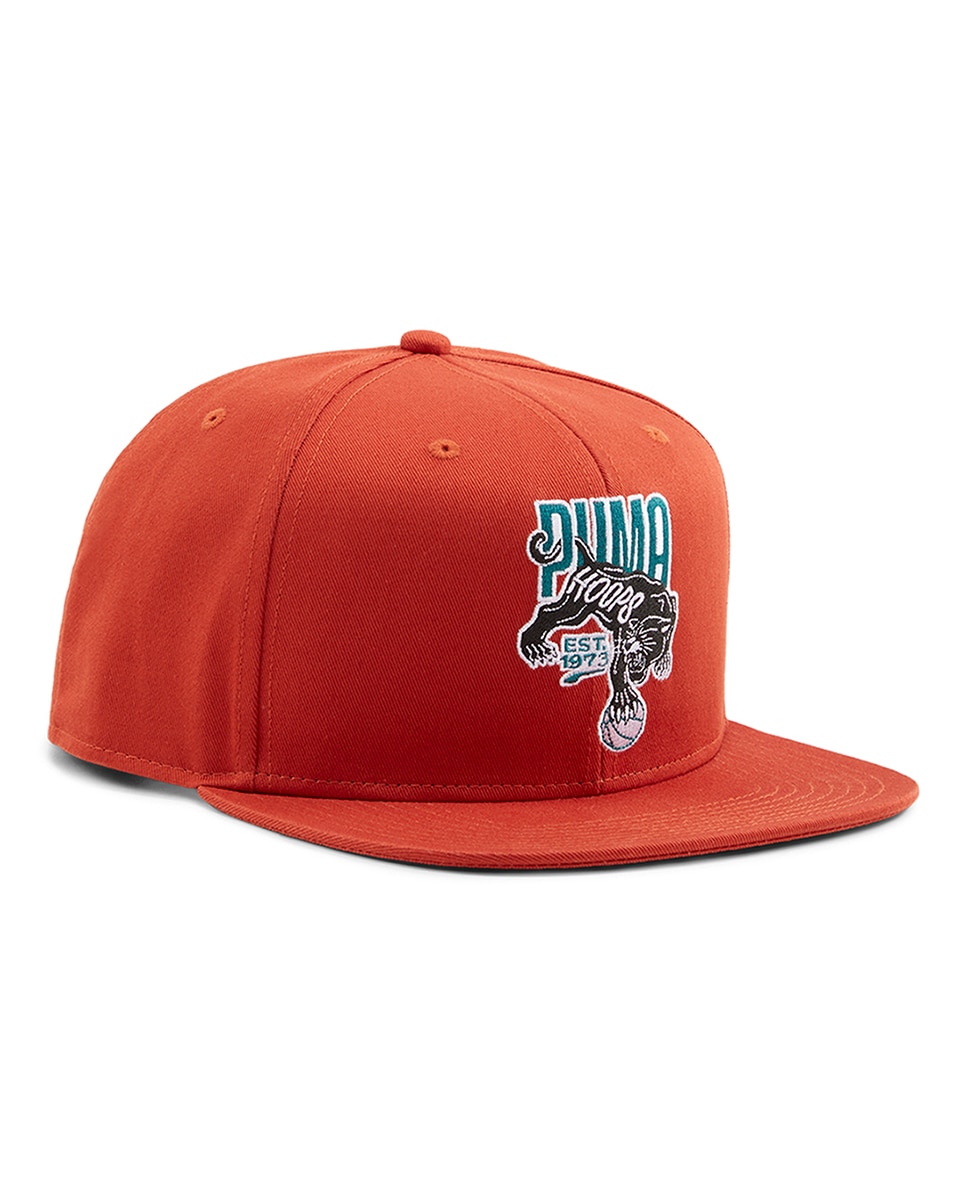 Imagen 0 de Gorra unisex Basketball Pro FB Ca Puma