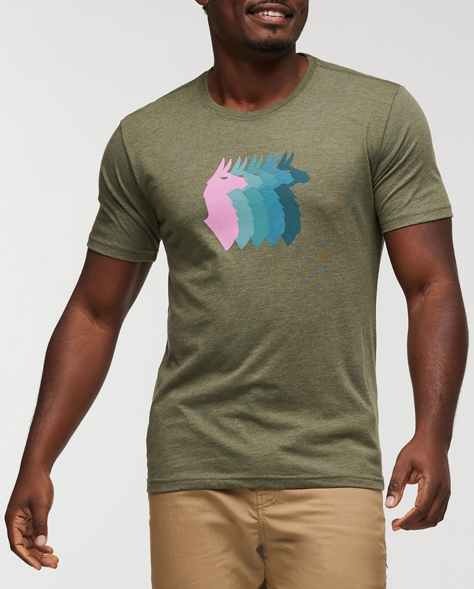 Imagen 0 de Camiseta de hombre llama sequence organic