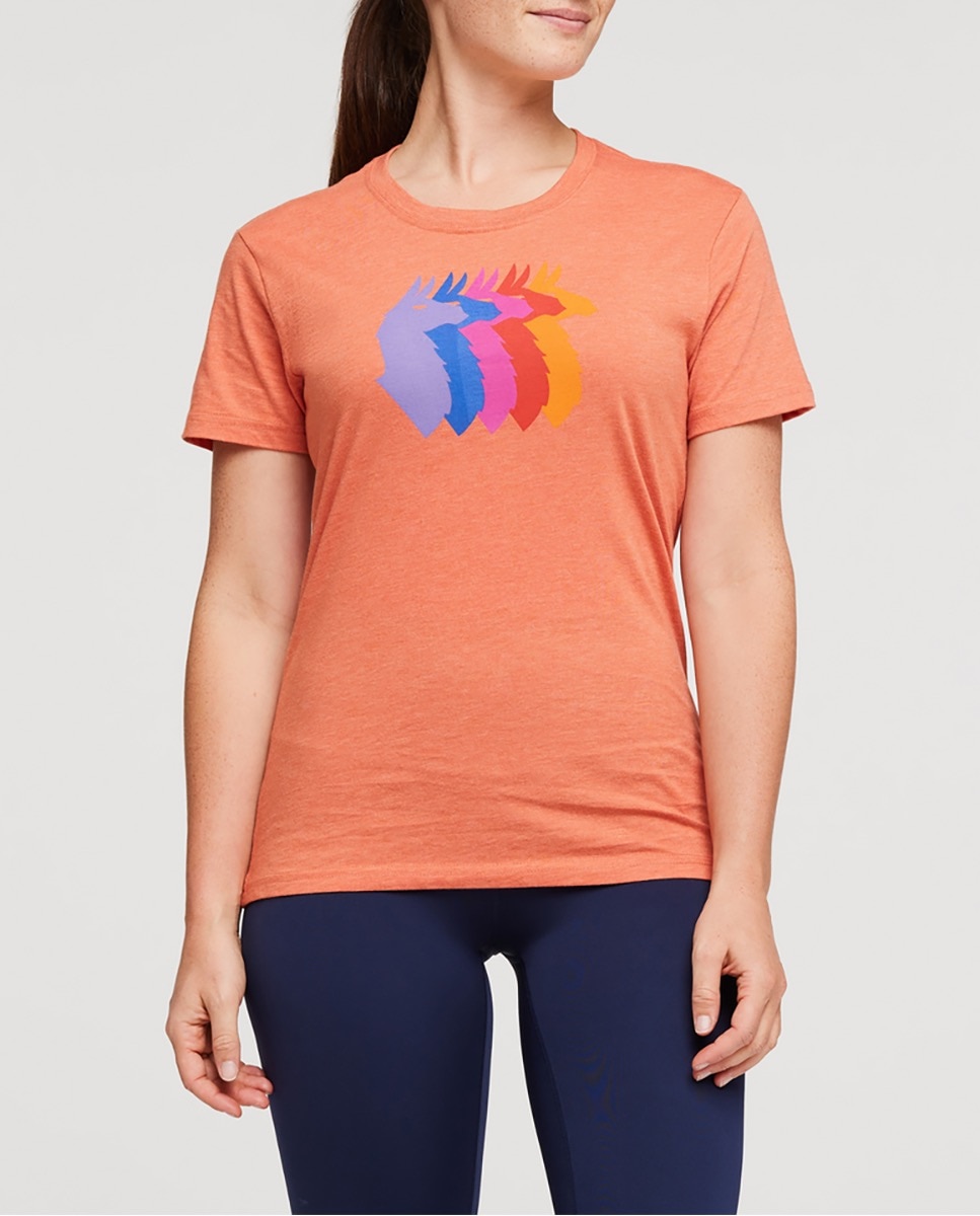 Imagen 0 de Camiseta de mujer llama sequence organic