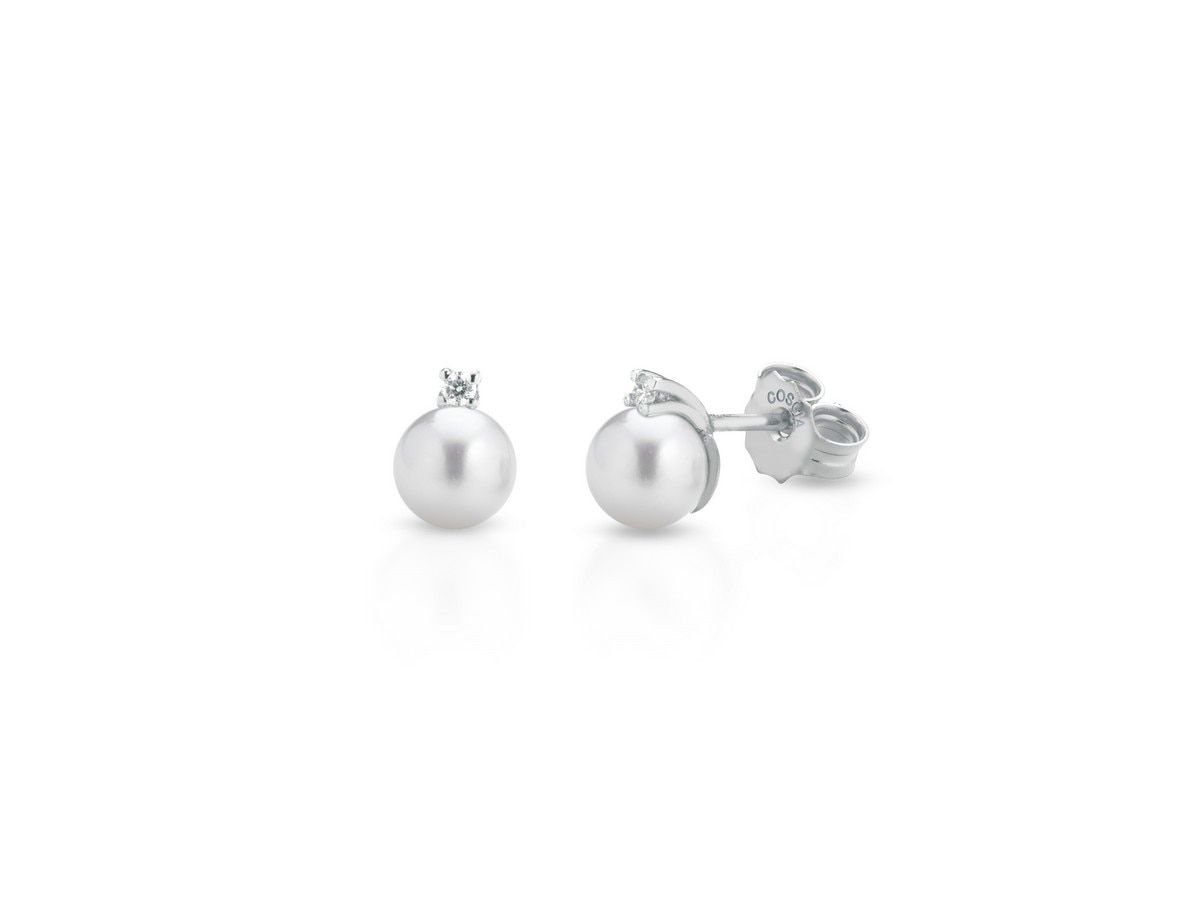 Imagem 0 de Brincos Tornilhos Pérolas Akoya 5,5/6mm
