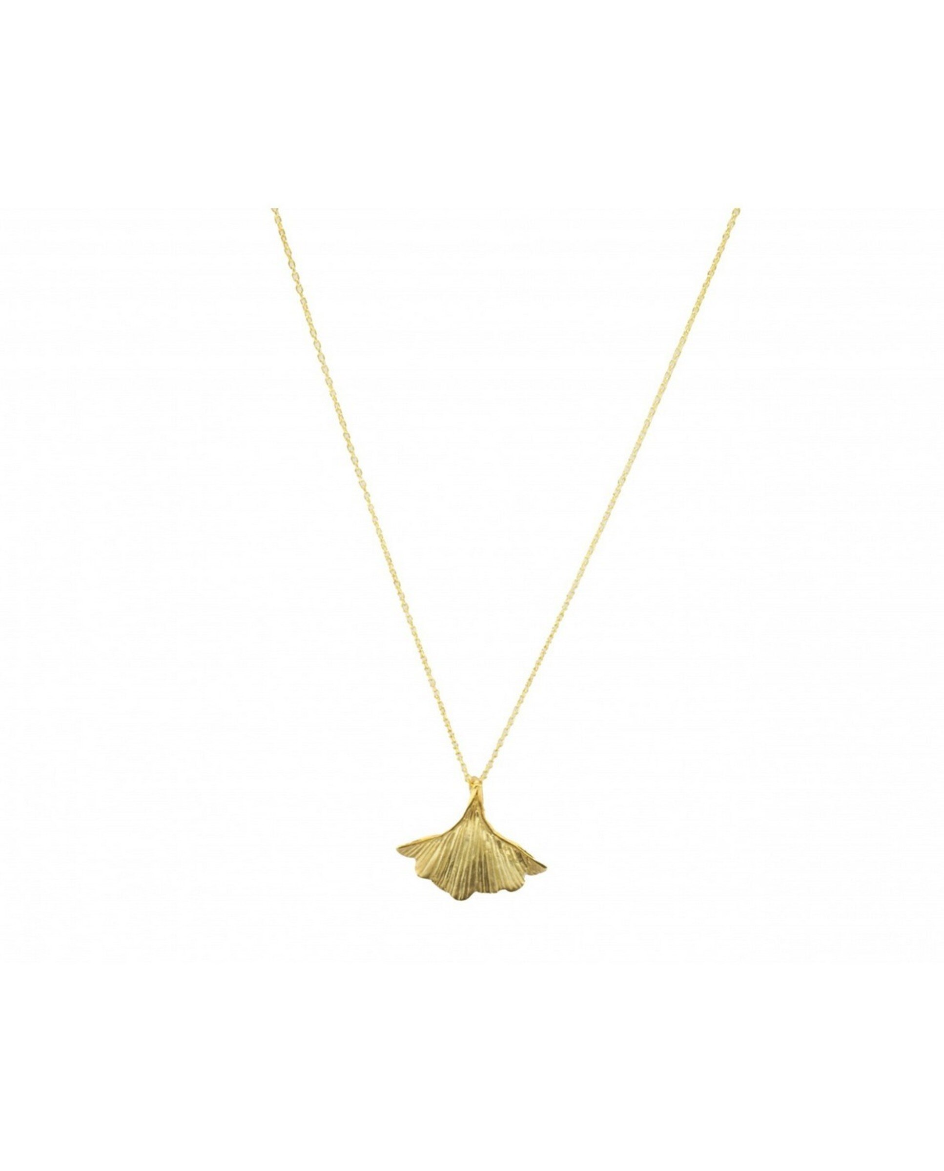 Imagem 0 de Colar Coquine Ginkgo Biloba