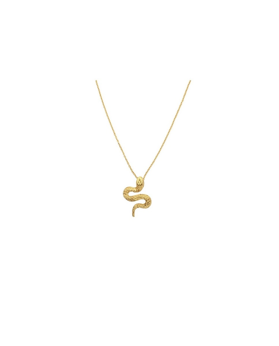 Colar Coquine Cobra Dourado-1
