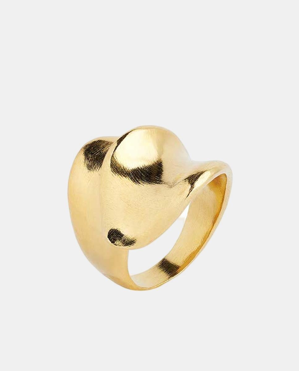 Imagem 0 de Anel Coquine 2 Folhas