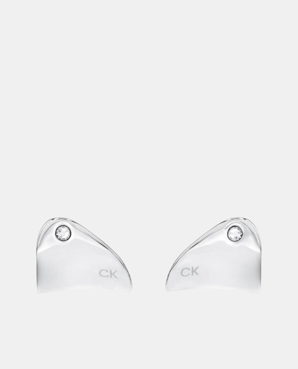 Imagem 0 de Brincos Cherished em Aço - Prateado