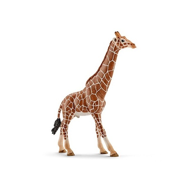 Imagem 0 de Girafa Macho