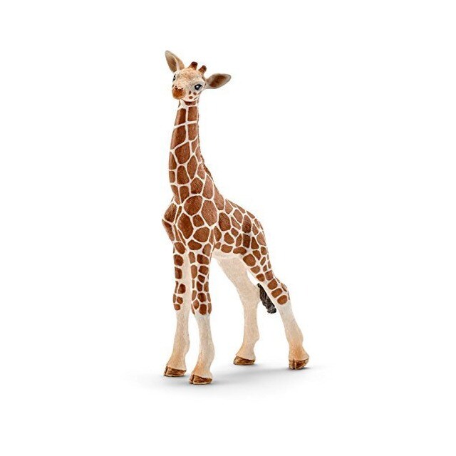 Imagem 0 de Cria Girafa Scheich