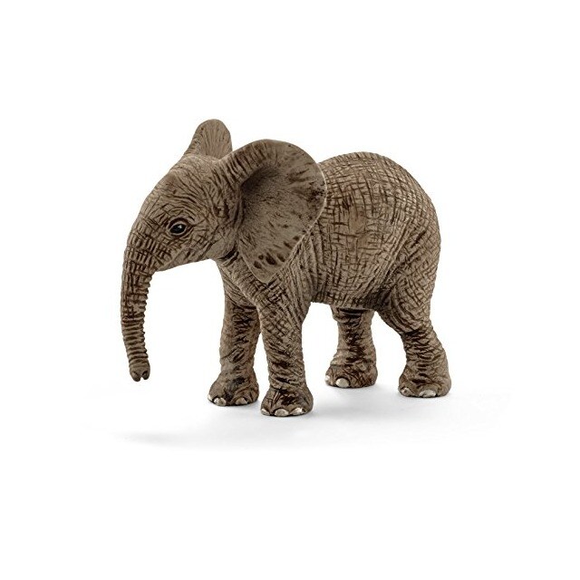 Cria de Elefante Africano 1