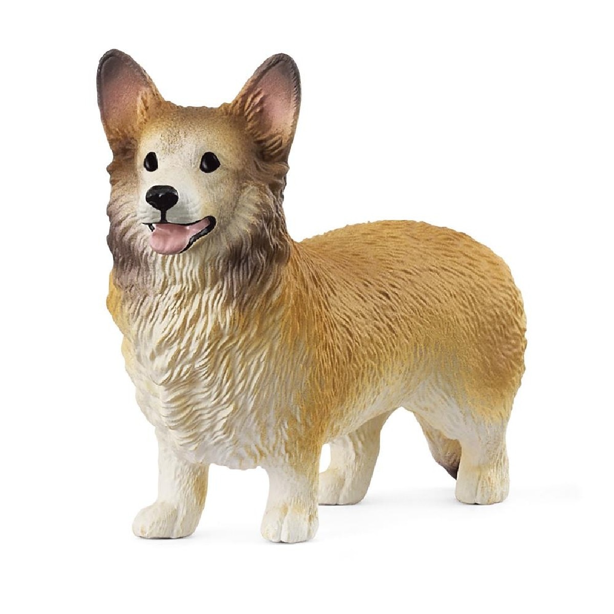 Imagem 0 de Cachorro Corgi Galés