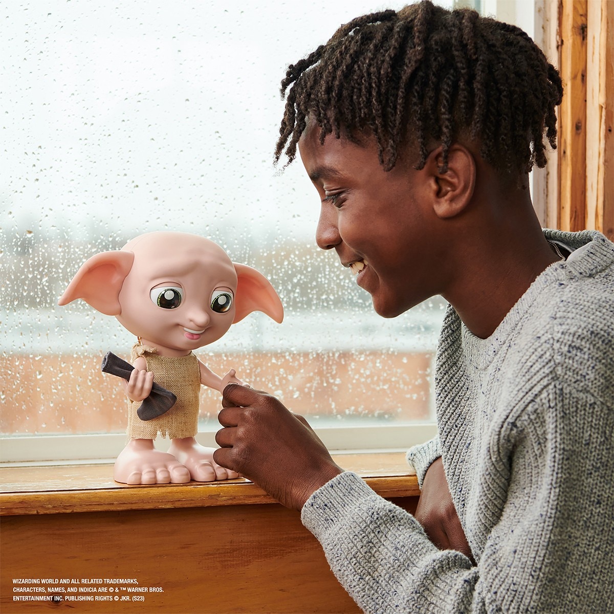 Harry Potter - Dobby Interativo 9