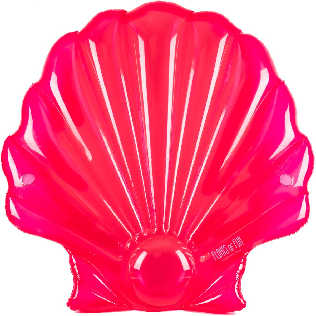 Glassy Pink Venus Shell FL05 3