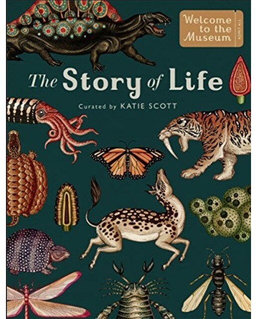 Story of a life: mini gift edition 1