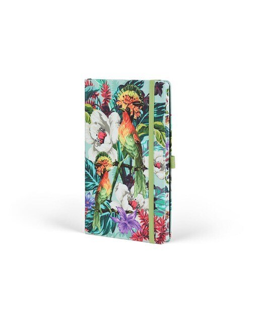 Agenda semanal Castelli Mideden EXOTIC - 2025 1