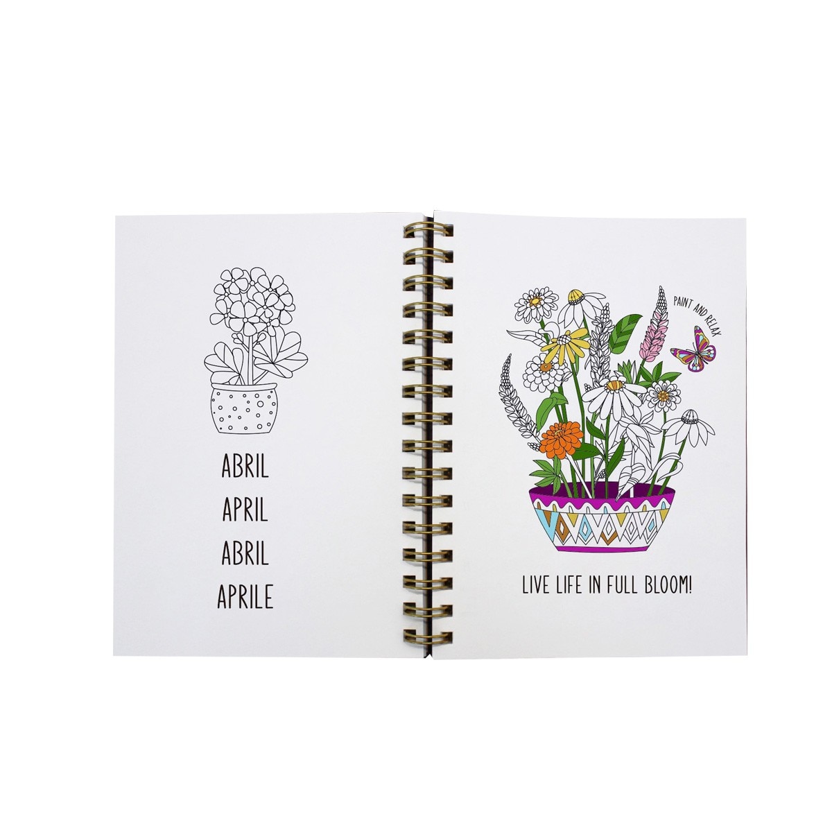 Agenda Semanal 2024 Aubergine A5 12M Espiral A Vista Cobre 6