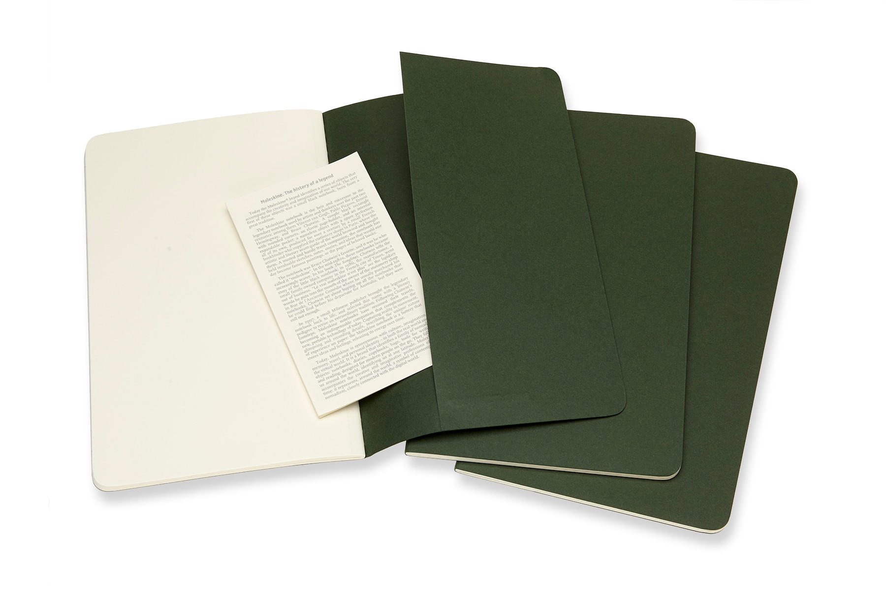 Conjunto de 3 blocos Moleskine verdes large folhas em branco Verde-3