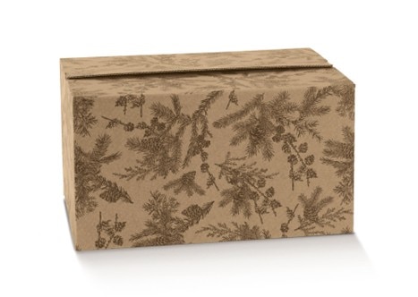 Imagem 0 de Caixa Multiusos de Base Retangular Padrão Azevinho