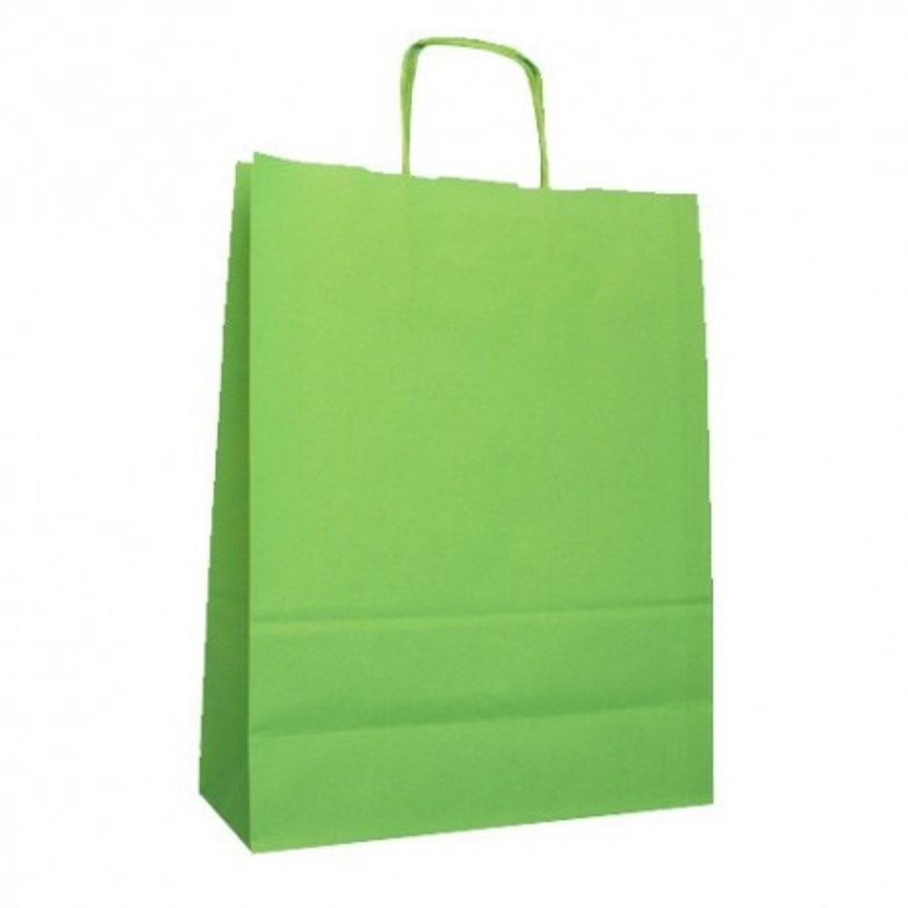 Saco de Papel Americana - Verde 1
