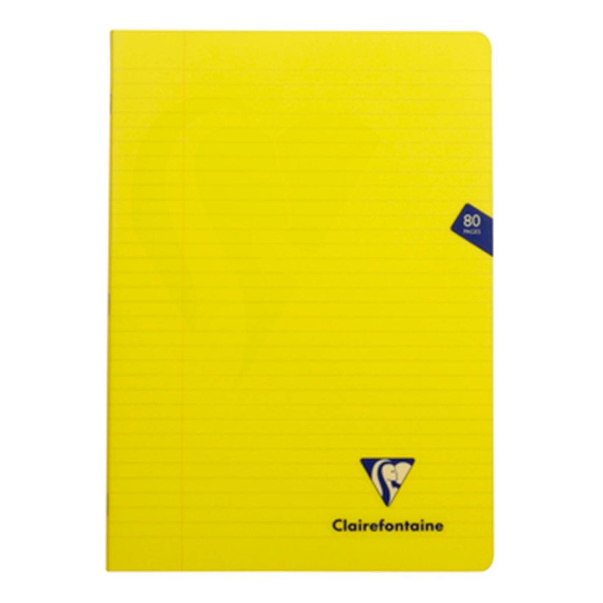 Caderno Agrafado A4 40 fls L+M PP 2