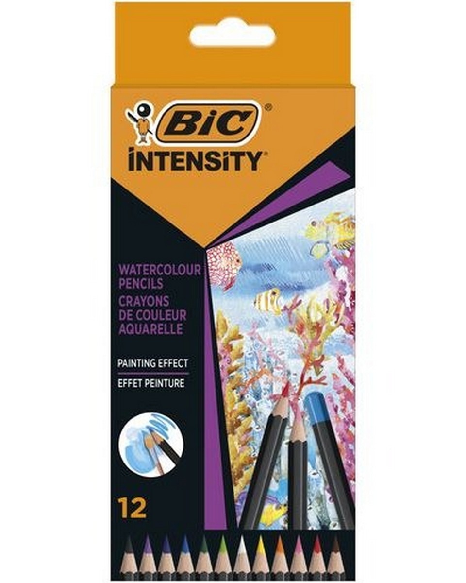 Imagem 0 de Lápis de Cor Aqua Intensity 12 Unidades BIC