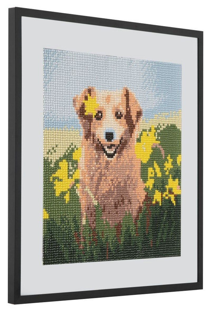Pintura em diamante 30 x 30 cm. Cão 2