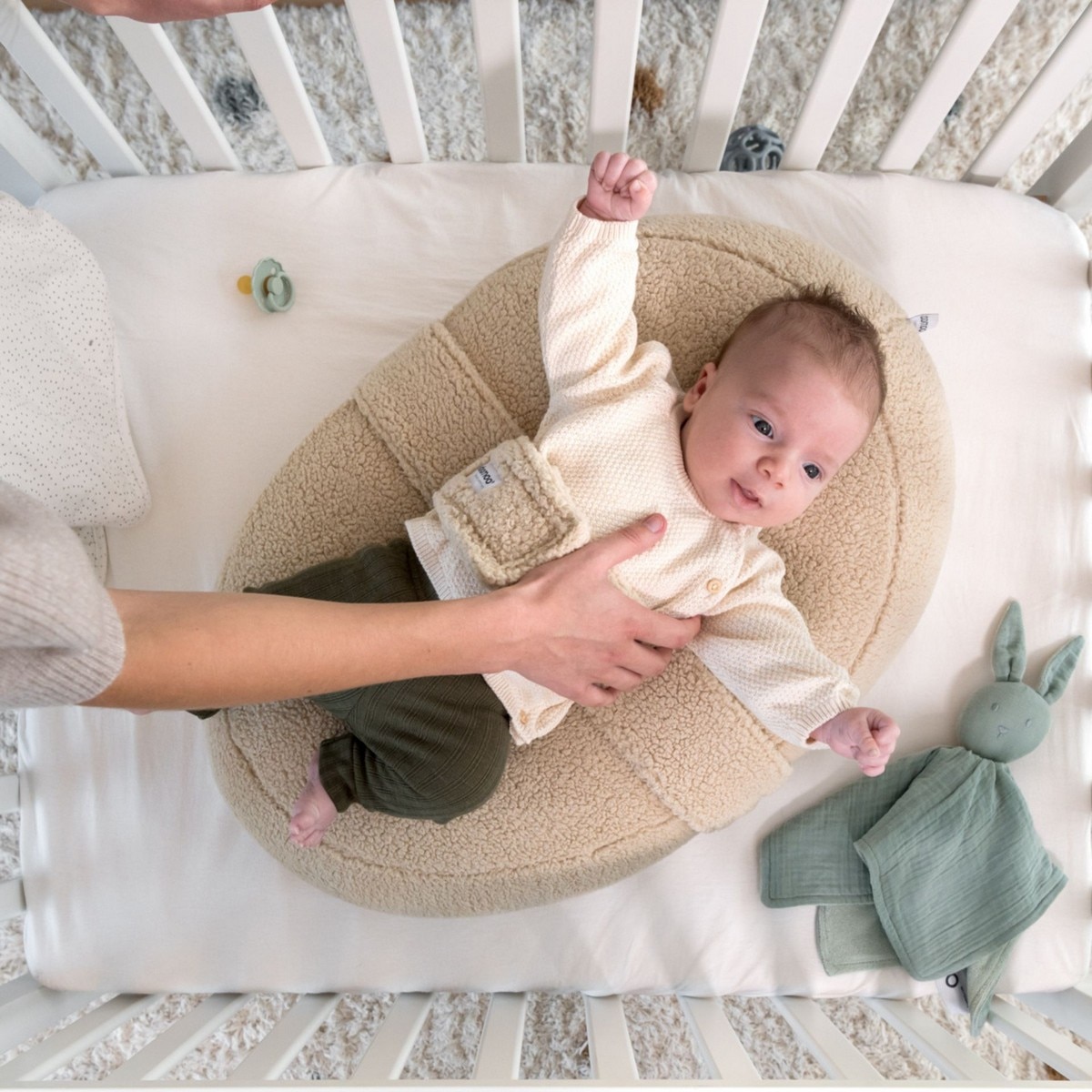 Capa de Relaxamento Teddy Biscuit 5