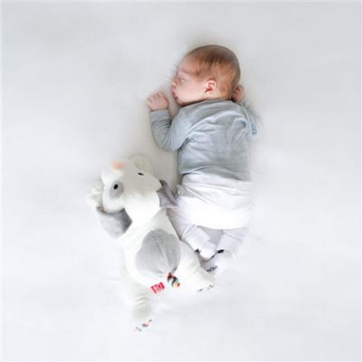Peluche com Som e Sensor Choro ZAZU Cão Dex 3