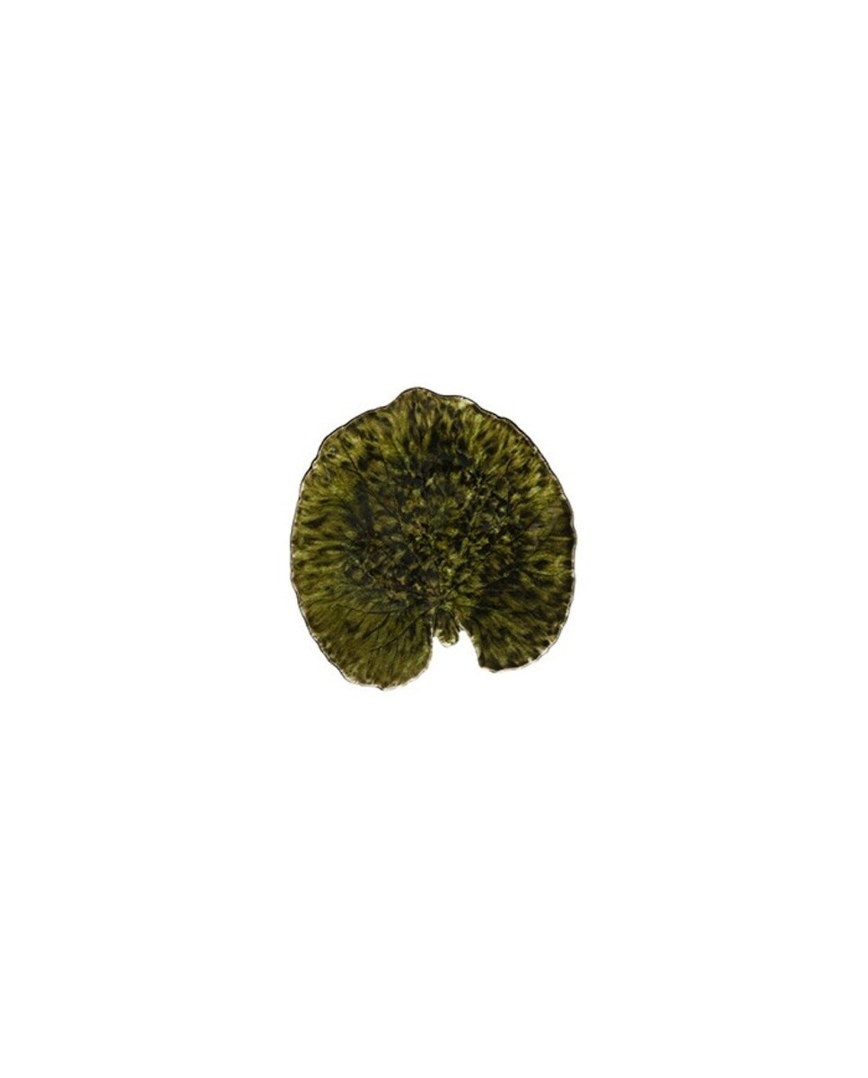 Folha Alquemila Riviera 18cm Costa Nova Verde-1