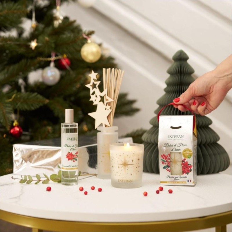 Difusor de Ambiente Frutas e Flores de Inverno 100 ml 2